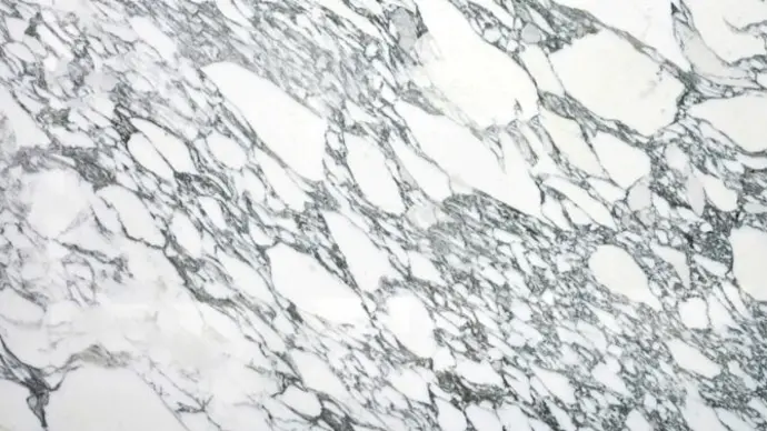 Arabescato Corchia Marble — catalogue reference